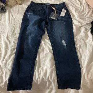 Democracy High Rise Skinny Jean